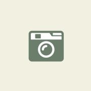 Untitled design (10)