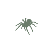 Untitled design (40)